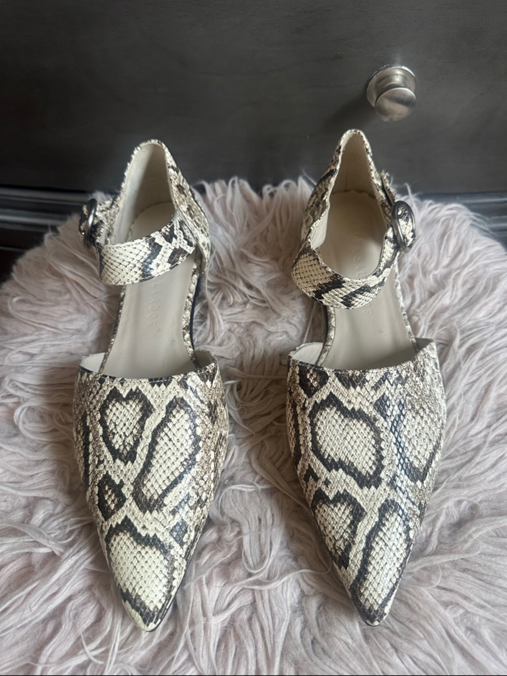 New Freda Salvador Snake Print Pointed Toe Flats in Cream and Black